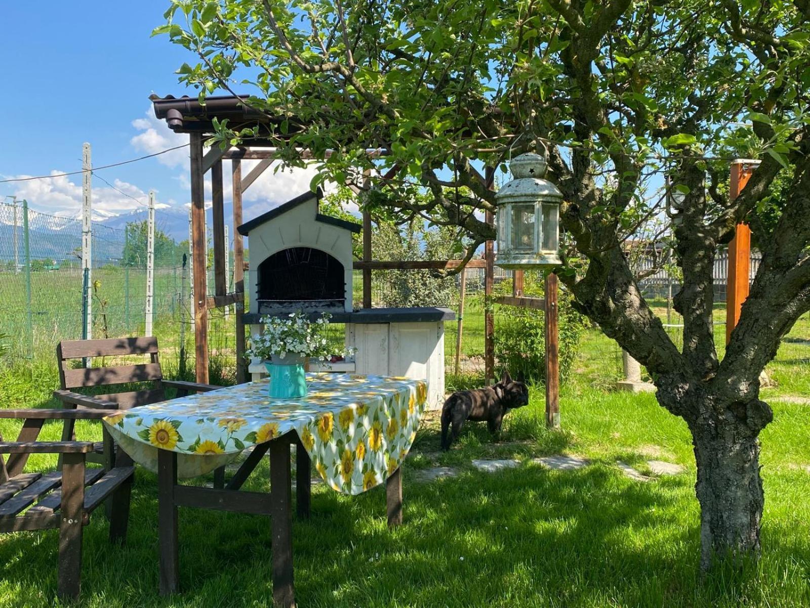Apartamento Orto Del Pettirosso Front Exterior foto